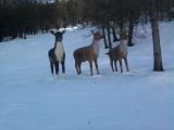 bardonecchia 2011